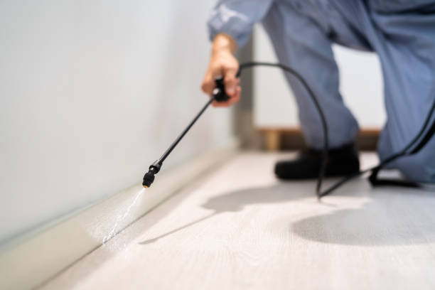 Bed Bug Pre-Treatment Preparation Assessment in Shillington